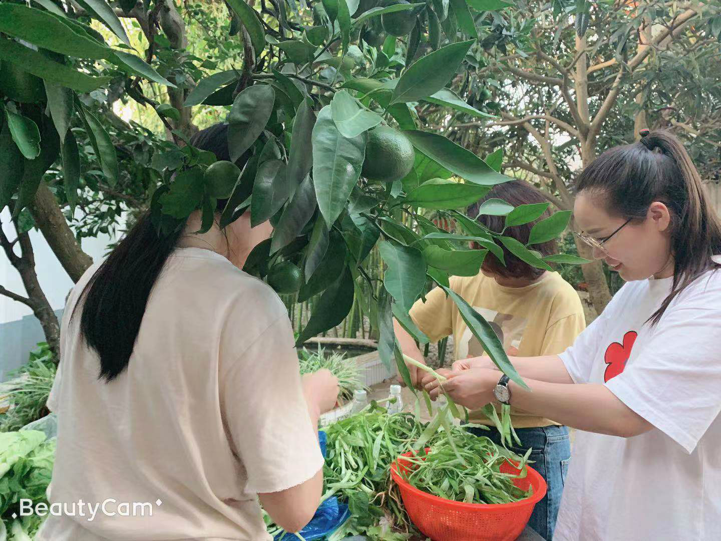 众人拾柴火焰高